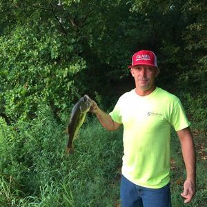 Meet your Posher, Shane